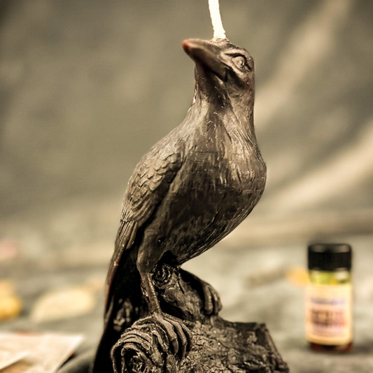 Raven Magic Candle Spell Kit