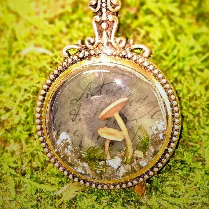The Naturalist's Loupe Pendant
