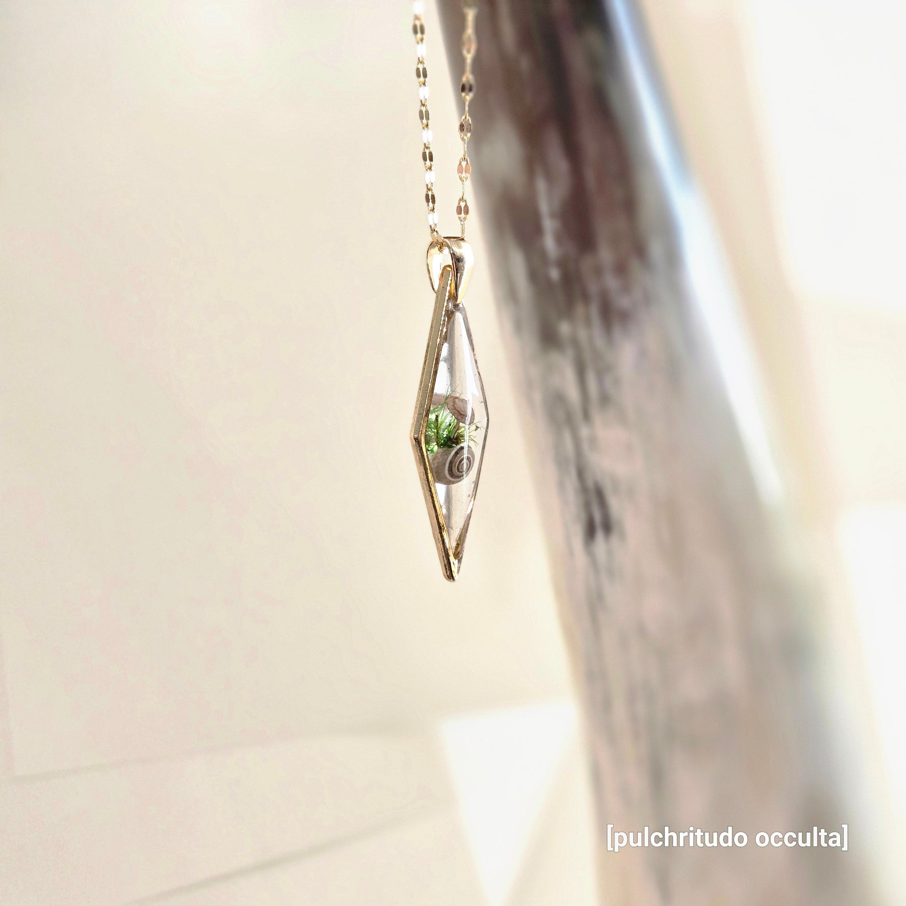 Pendant with a small plant inside, hanging against a neutral background
