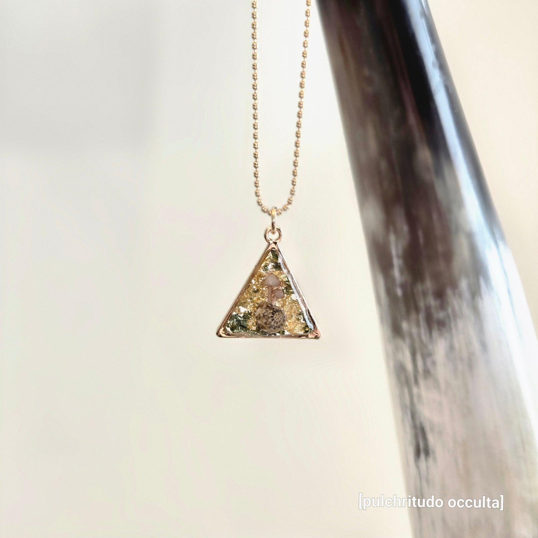 Necklace with a triangular pendant hanging from a large horn on a light background