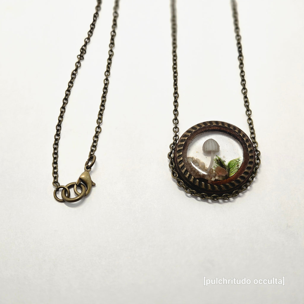 Necklace with a round pendant on a white background