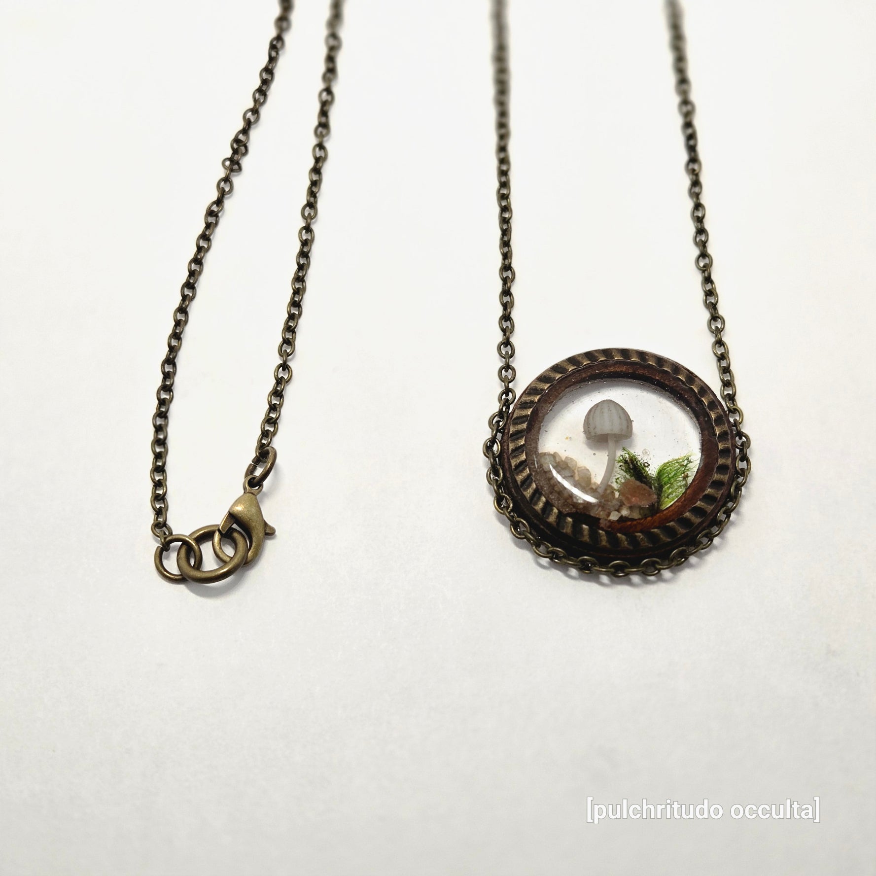 Necklace with a round pendant on a white background