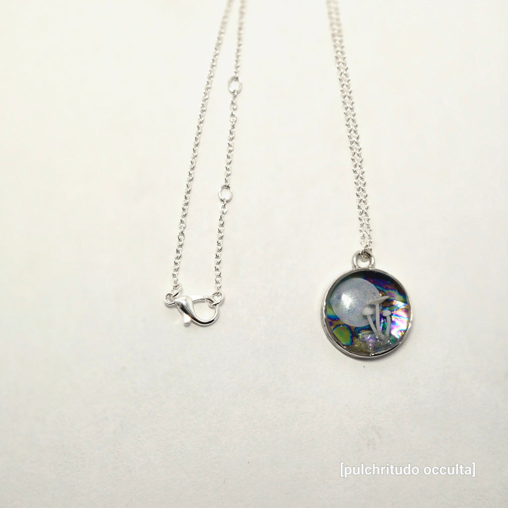 The Moon & Mycelium Set