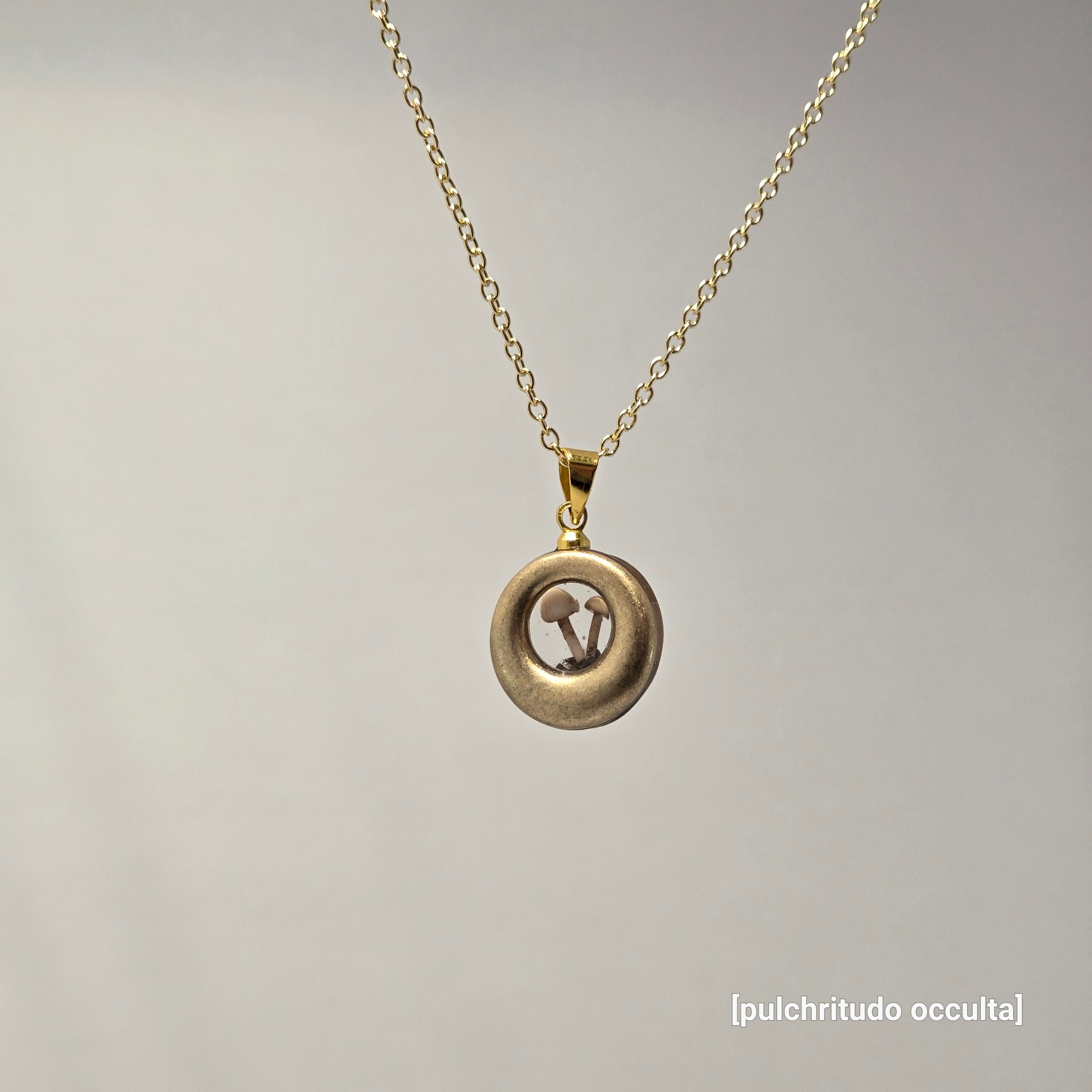 The Carried Home Pendant