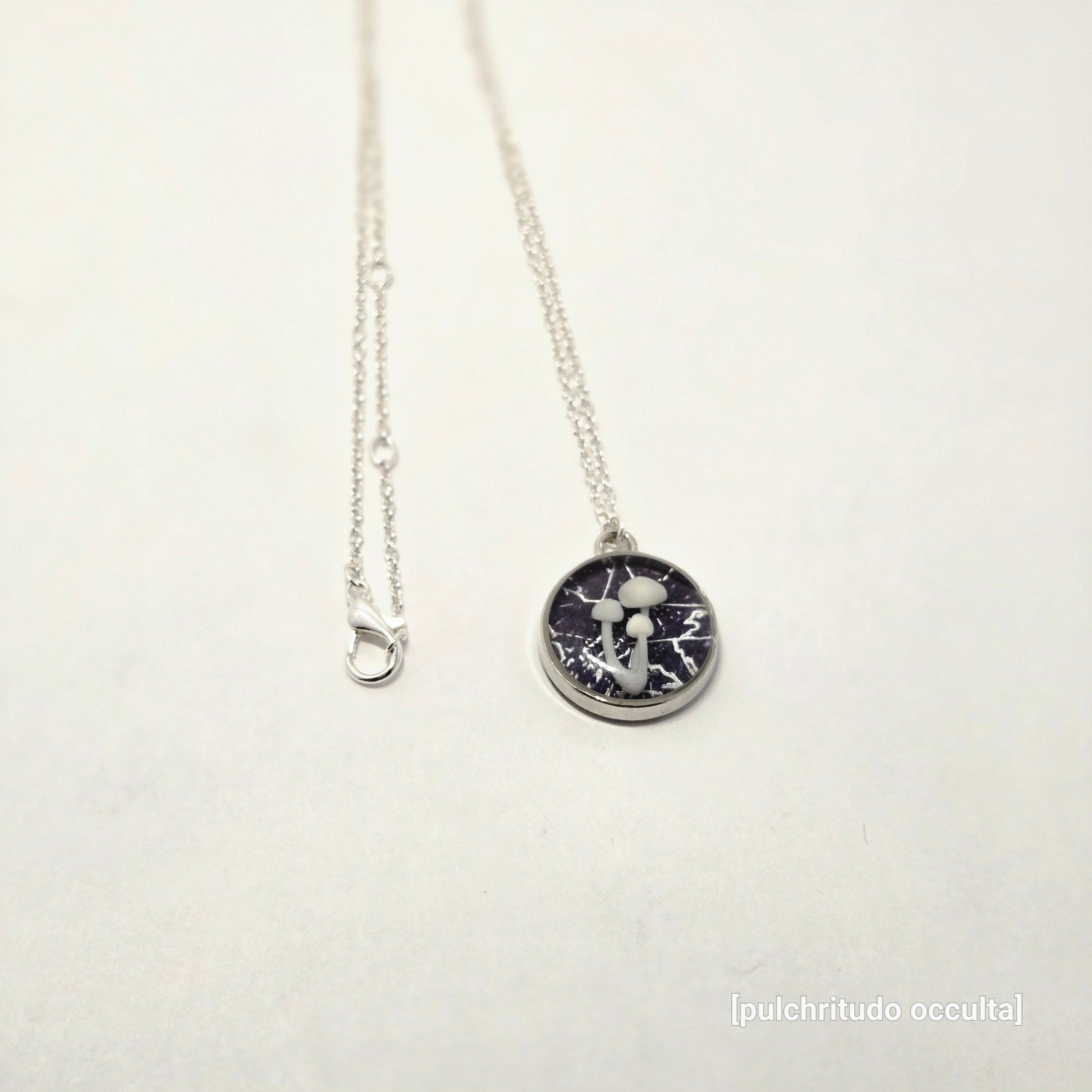 Silver necklace with a round pendant on a white background