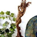 The Dryad