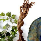 The Dryad