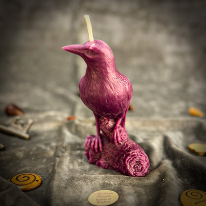Raven Magic Candle Spell Kit