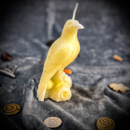 Raven Magic Candle Spell Kit