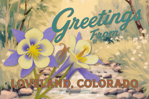 Loveland Colorado postcard featuring hand-illustrated columbine flower – Beauty Undiscovered art print