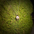 The Turning Shell Pendant