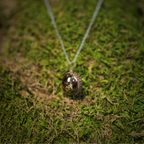 Acorn of the Lost Key