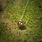 Acorn of the Quiet Lilac