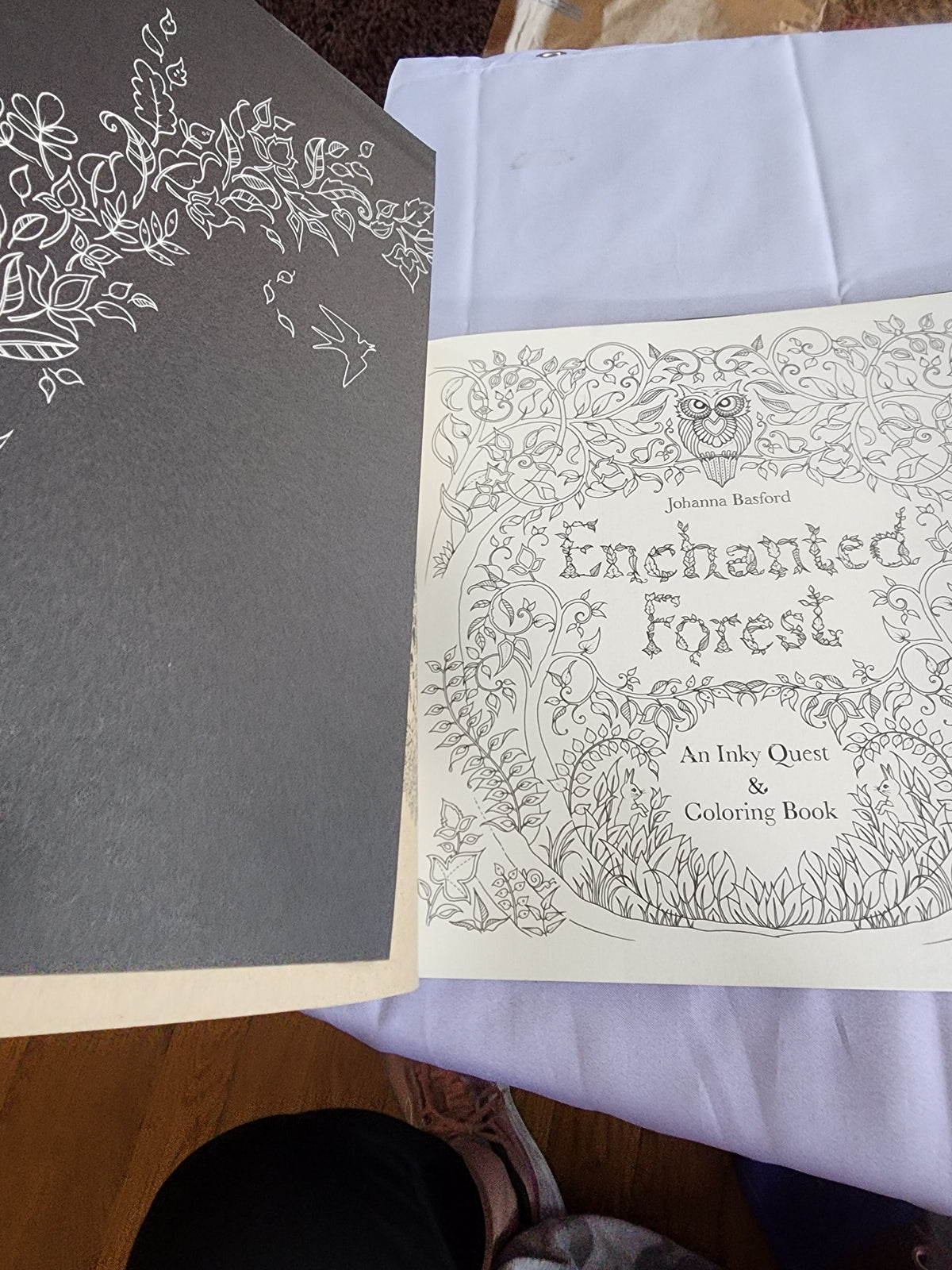 Pre-Owned Enchanted Forest Artist's Edition