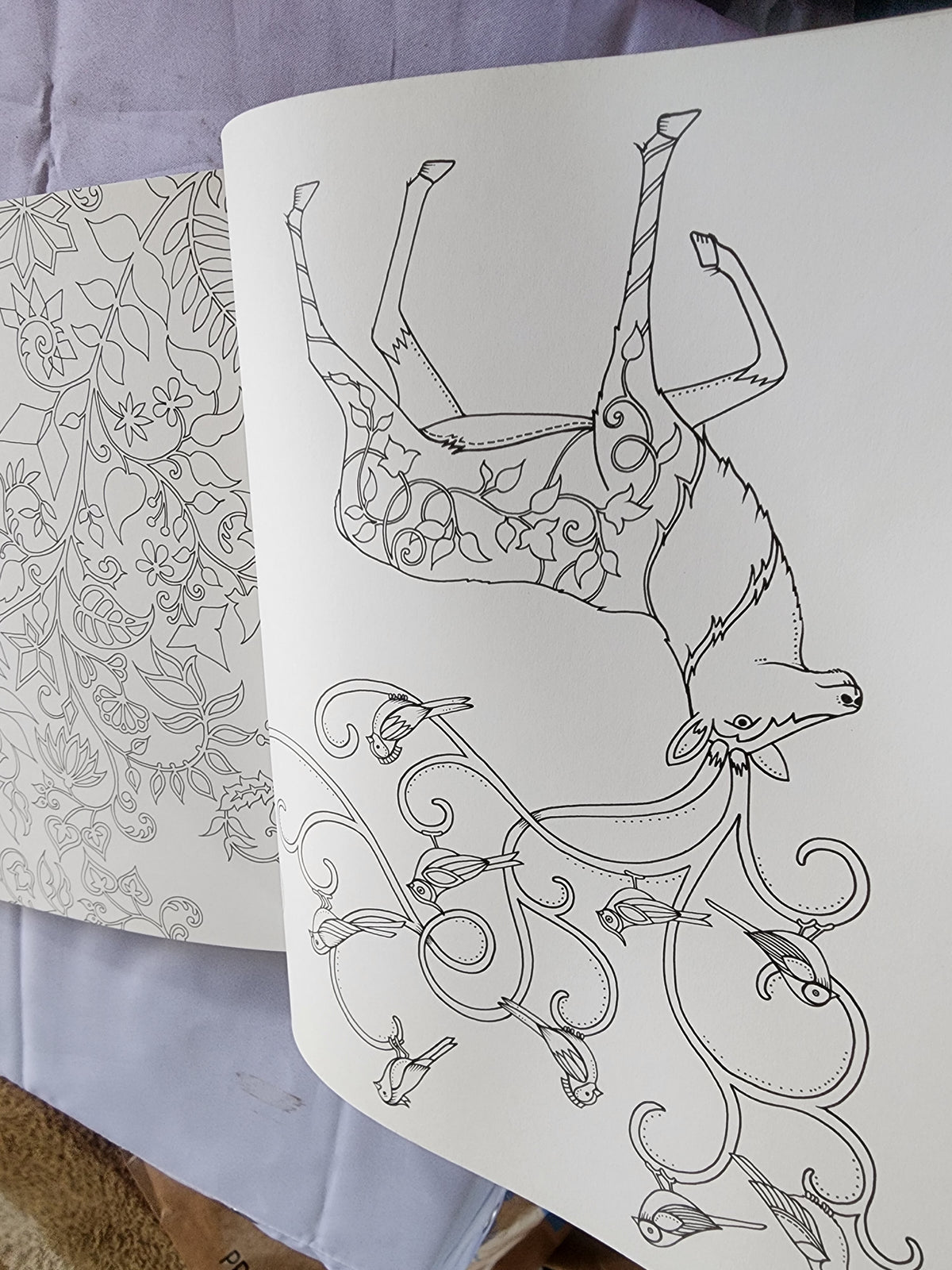 Pre-Owned Enchanted Forest Artist's Edition