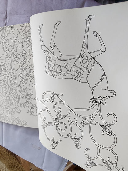 Pre-Owned Enchanted Forest Artist's Edition