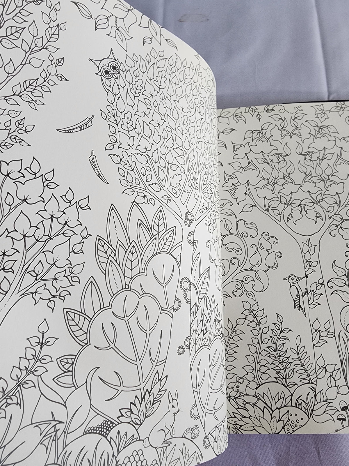 Pre-Owned Enchanted Forest Artist's Edition