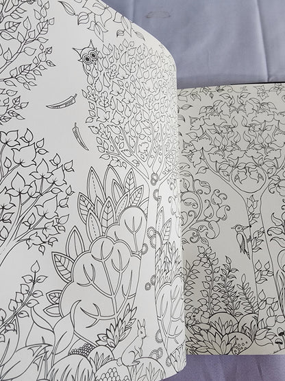 Pre-Owned Enchanted Forest Artist's Edition