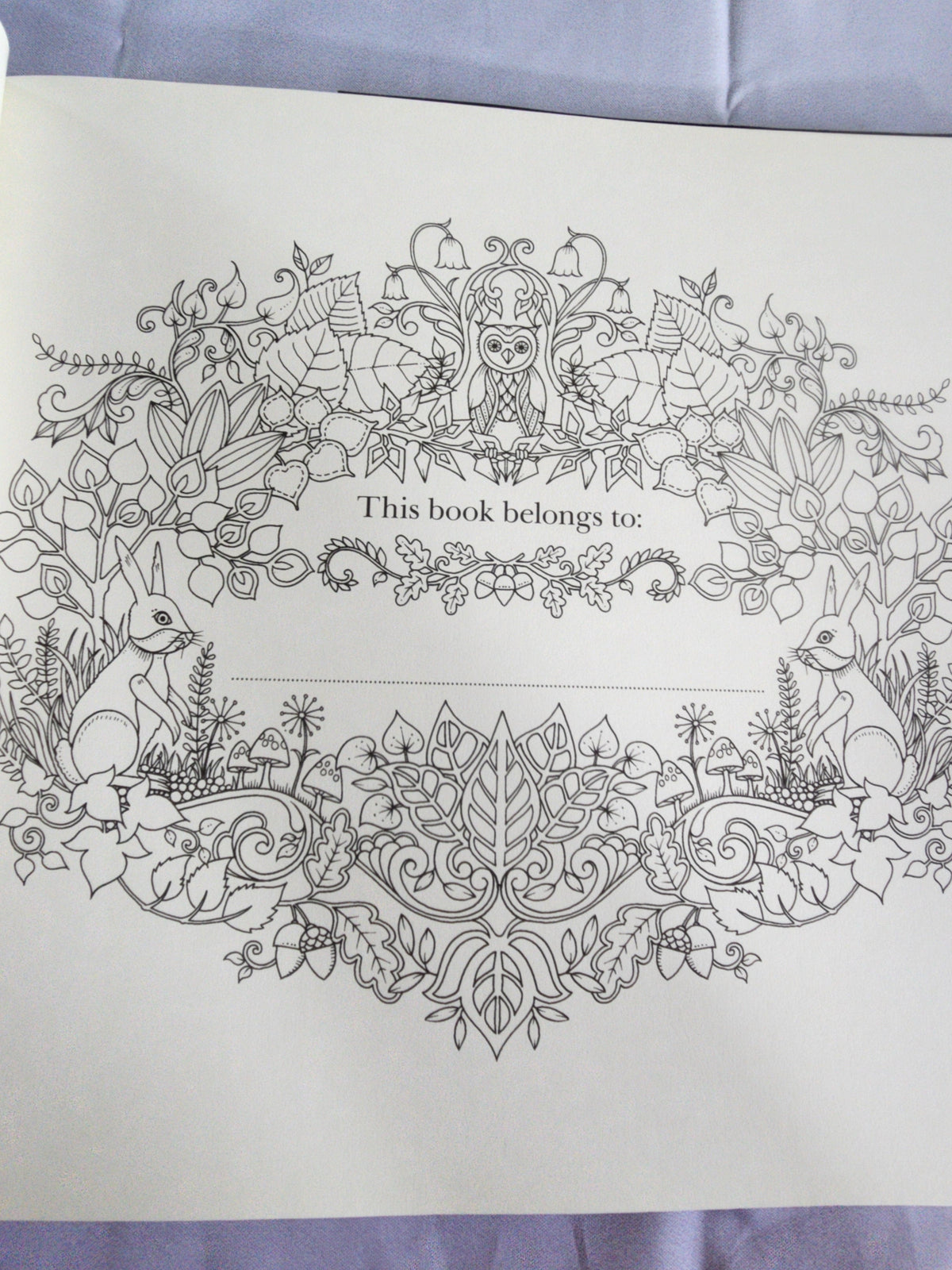 Pre-Owned Enchanted Forest Artist's Edition