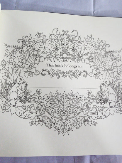 Pre-Owned Enchanted Forest Artist's Edition