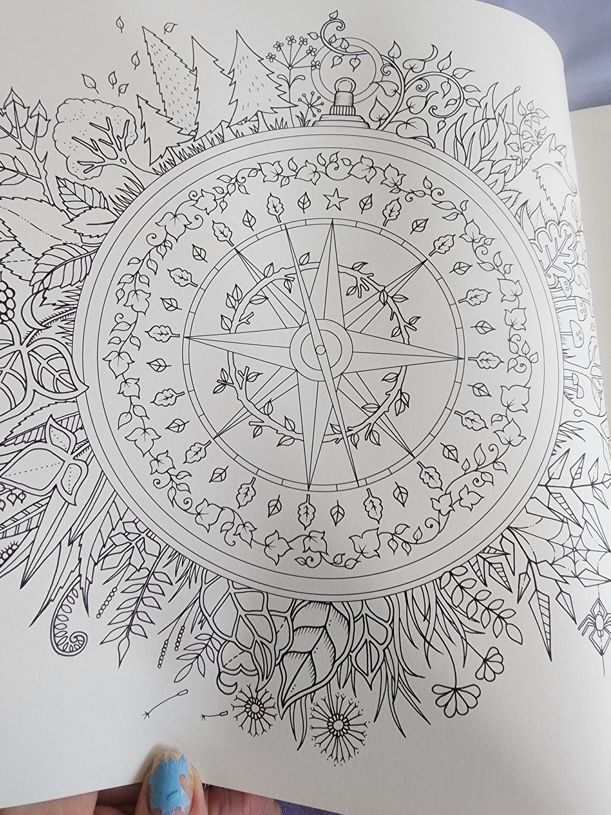 Pre-Owned Enchanted Forest Artist's Edition
