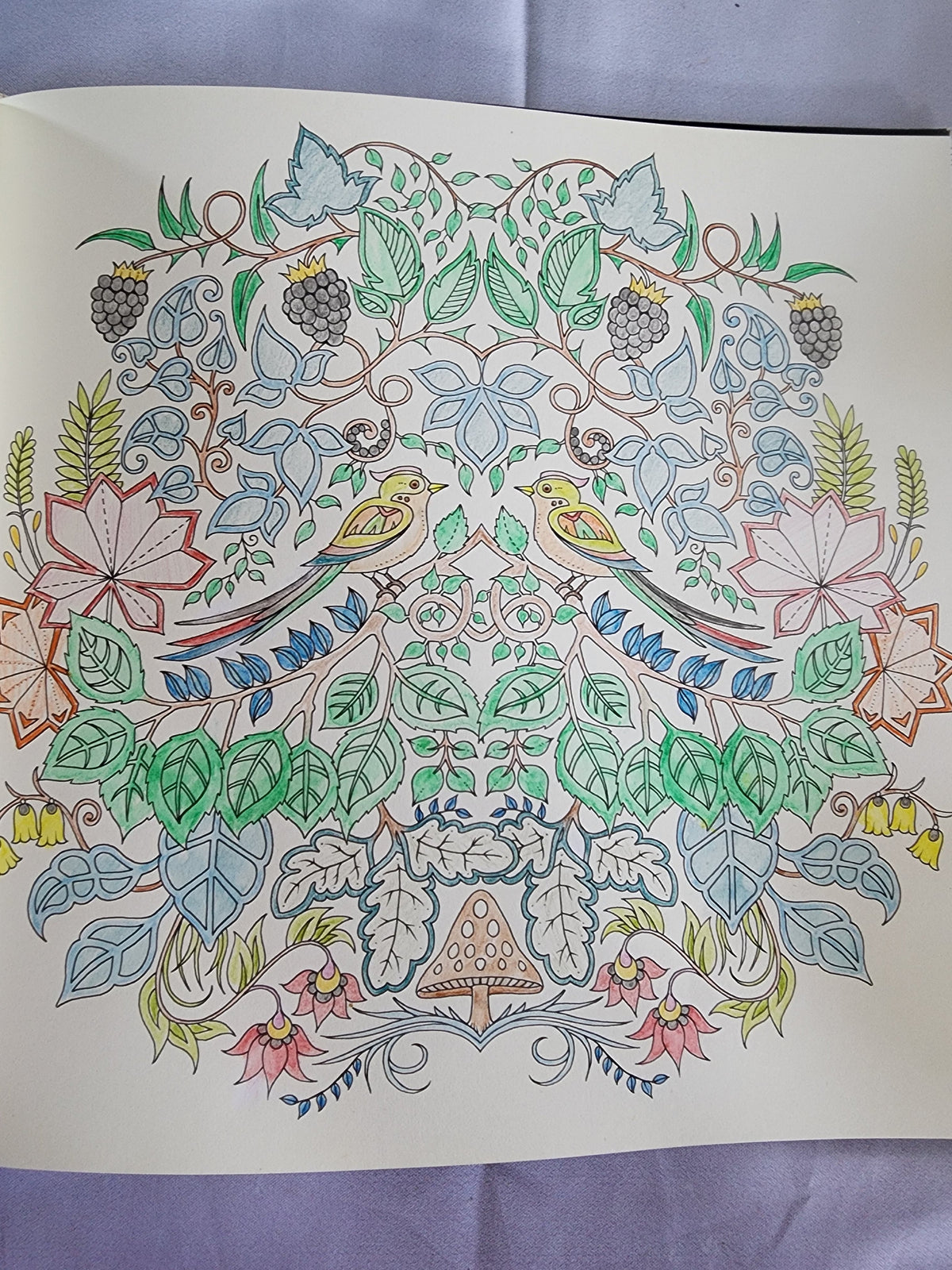 Pre-Owned Enchanted Forest Artist's Edition
