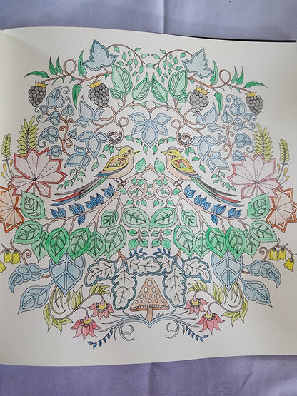 Pre-Owned Enchanted Forest Artist's Edition