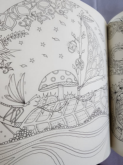 Pre-Owned Enchanted Forest Artist's Edition