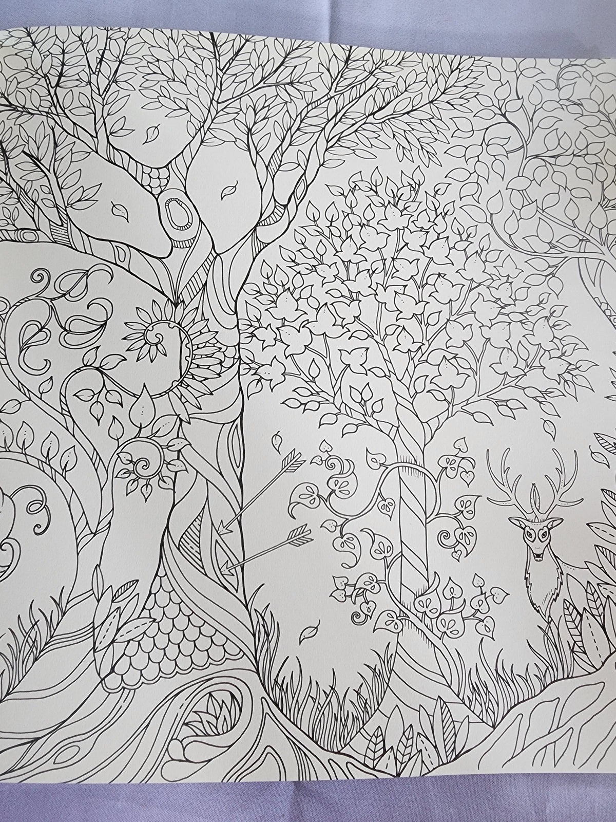Pre-Owned Enchanted Forest Artist's Edition