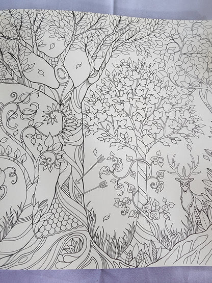 Pre-Owned Enchanted Forest Artist's Edition