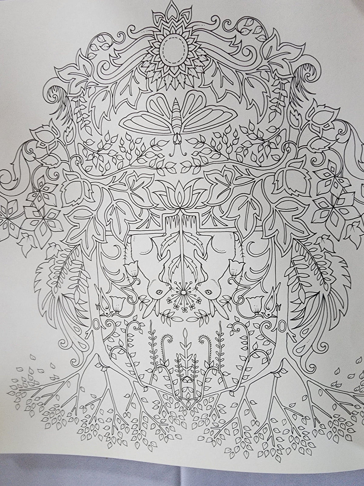 Pre-Owned Enchanted Forest Artist's Edition