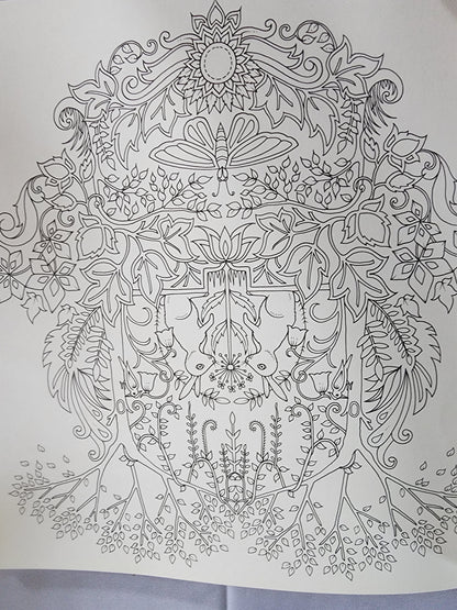 Pre-Owned Enchanted Forest Artist's Edition